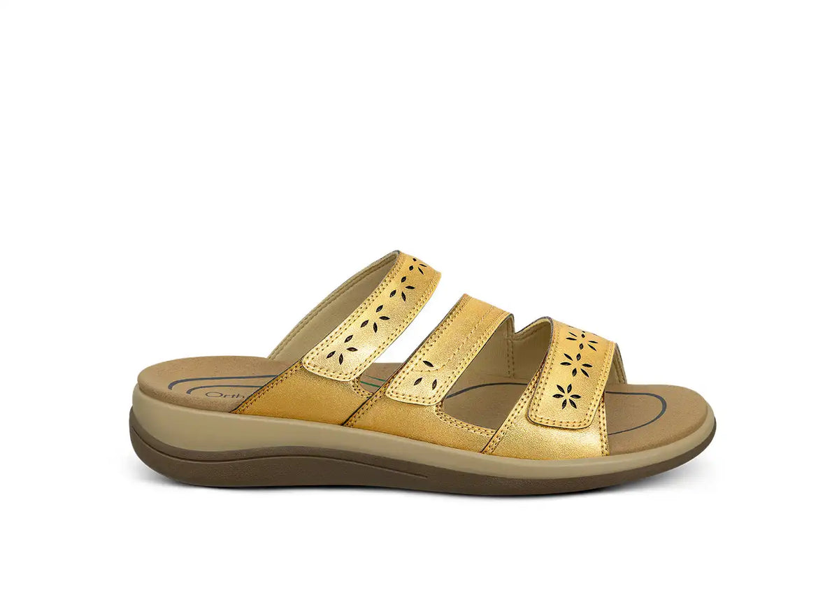 Sahara - Gold Main image