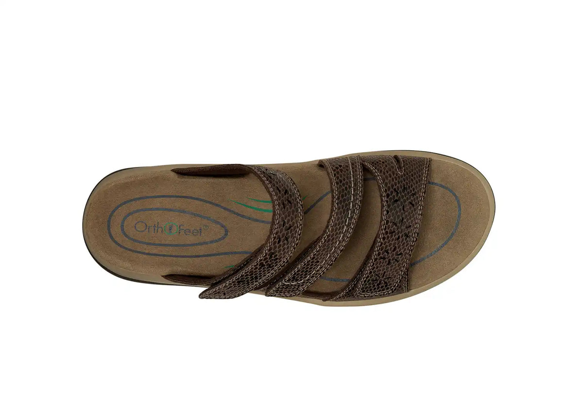 Sahara - Brown Snake