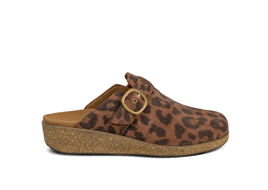 Casey - Leopard
