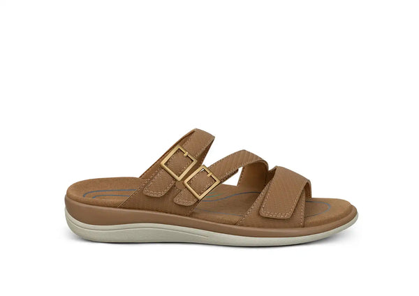 Sahara